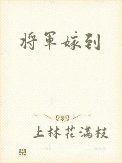 将军嫁到