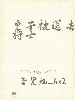 皇子被送去犒劳将士