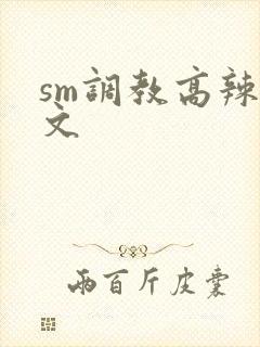 sm调教高辣h文
