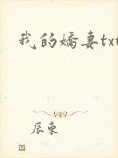 我的娇妻txt