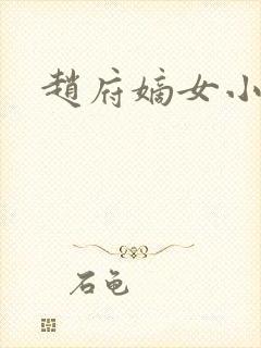 赵府嫡女小说