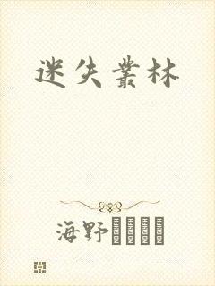 迷失丛林