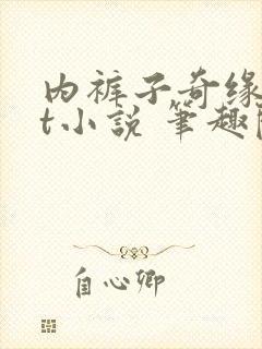 内裤子奇缘txt小说 笔趣阁