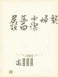 屈辱少妇系列小说白洁封面