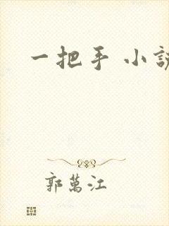 一把手 小说封面