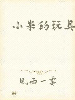 小米的玩具日记
