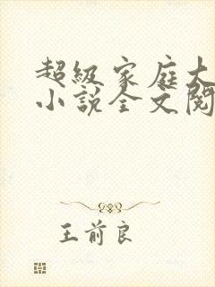 超级家庭大杂烩小说全文阅读