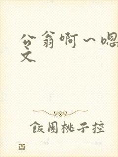 公翁啊～嗯啊h文封面