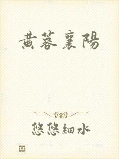 黄蓉襄阳