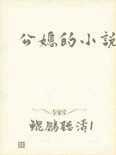 公媳的小说