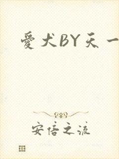 爱犬BY天一