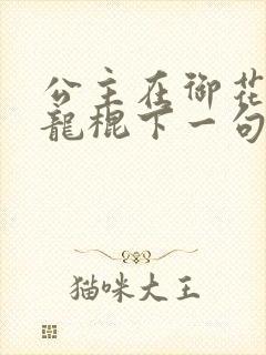 公主在御花园吃龙棍下一句封面