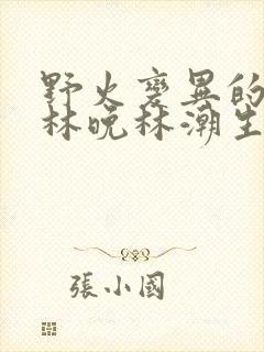 野火变异的父爱林晚林潮生