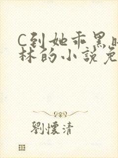 C到她乖黑暗森林的小说免费封面