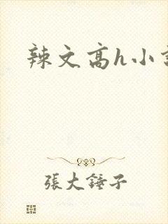 辣文高h小说