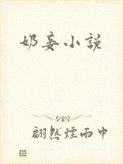 奶妾小说