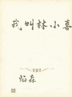 我叫林小喜17