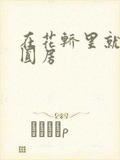 在花轿里就开始圆房