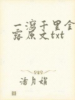 一泻千里金银花露原文txt