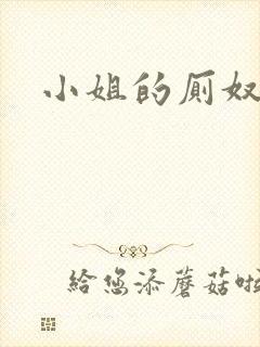 小姐的厕奴