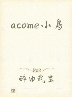 acome小鸟