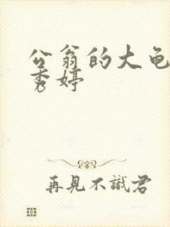公翁的大龟挺进秀婷封面