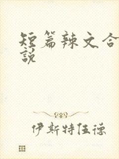 短篇辣文合集小说