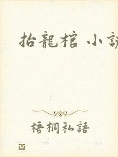 抬龙棺 小说封面