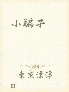 小骗子
