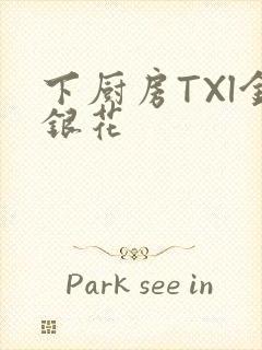 下厨房TXl金银花