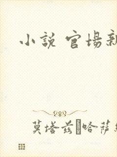 小说 官场新贵