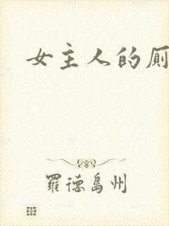女主人的厕奴封面