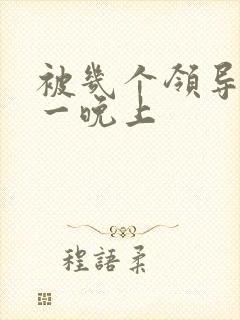 被几个领导玩弄一晚上