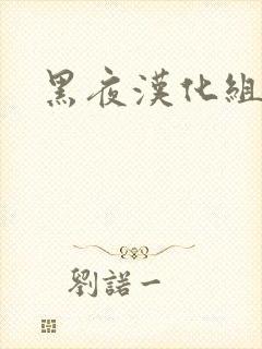 黑夜汉化组