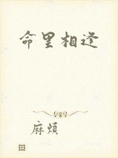 命里相逢封面