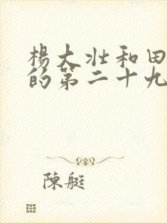 杨大壮和田桂花的第二十九