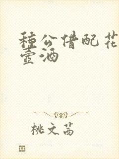 种公借配花间一壶酒