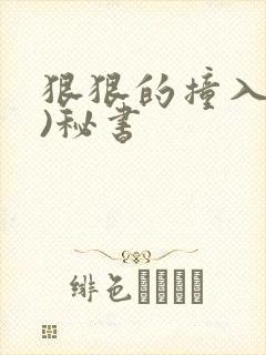 狠狠的撞入(h)秘书