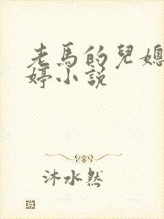 老马的儿媳顾婉婷小说