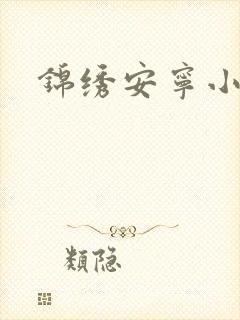 锦绣安宁小说