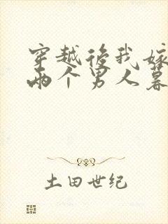 穿越后我嫁给了两个男人暮色酒歌