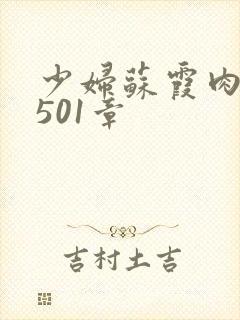 少妇苏霞肉欲第501章