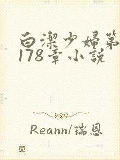 白洁少妇第1一178章小说封面