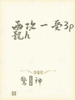 两攻一受3p双龙h