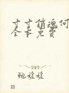 寸寸销魂何生祥全本免费