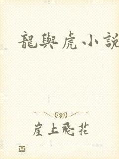 龙与虎小说