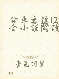 公车之狼12集全小说阅读