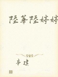 陆华陆婷婷封面