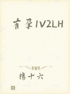 有孕1V2LH
