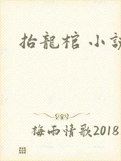 抬龙棺 小说